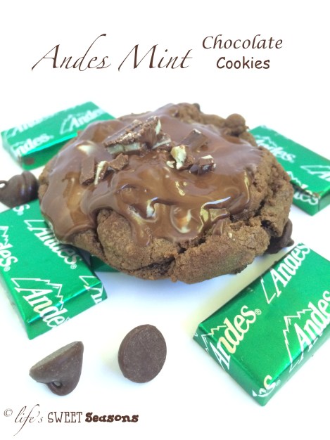Andes Mint Chocolate Cookies 1