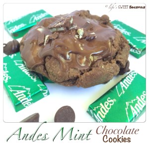 Andes Mint Chocolate Cookies 4