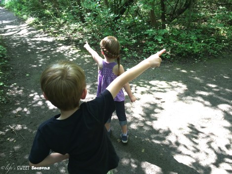 Matthew & Lindsay Direction Pointing